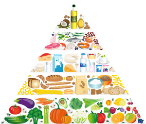 פירמידת המזון של דיאטת הזון