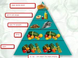 פירמידת המשון של דיאטת הזון