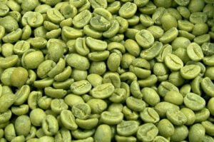 פולי קפה ירוק