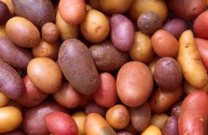 דיאטת תפוחי אדמה